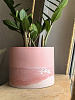 Кашпо, цвет розовый, d 15 см купить с доставкой 